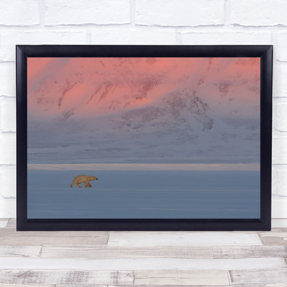 Polar Bear Bears Snow Cold Arctic Wall Art Print