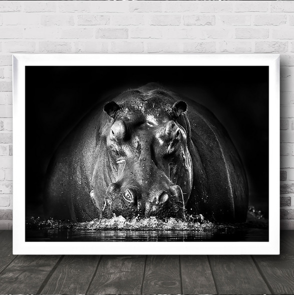 Power Hippo Lodge Safari River Attack Charging Zambia Nature Wild Wall Art Print