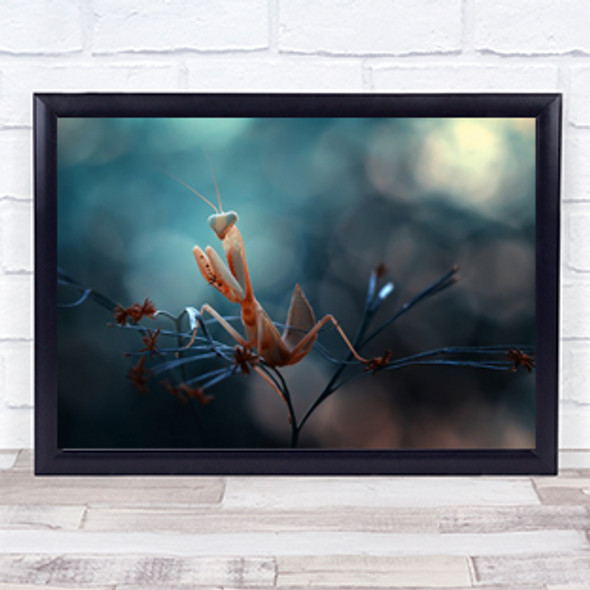 Praying Mantis Insect Borneo Indonesia Alien Bokeh Bug Wall Art Print