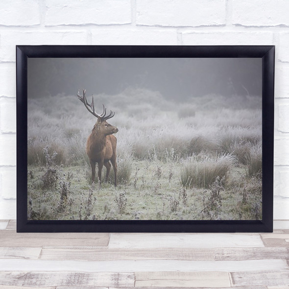 Prideful Deer Winter Frost Antler Antlers Stag Cold Wildlife Wall Art Print