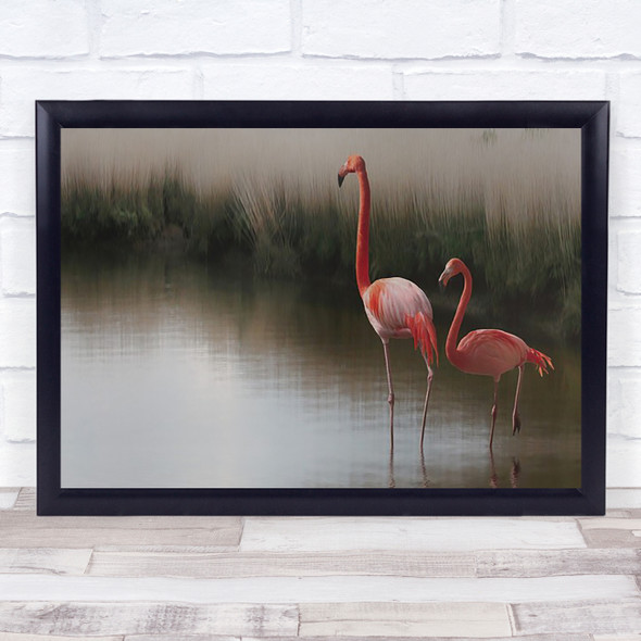 Red Flamingo Birds Bird Fauna Nature Animal Wildlife Grass Wall Art Print