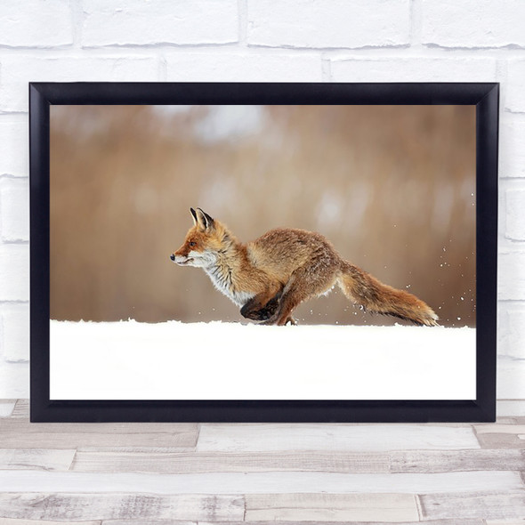 Red Fox Wildlife Nature Animals Snow Winter Wild Wall Art Print