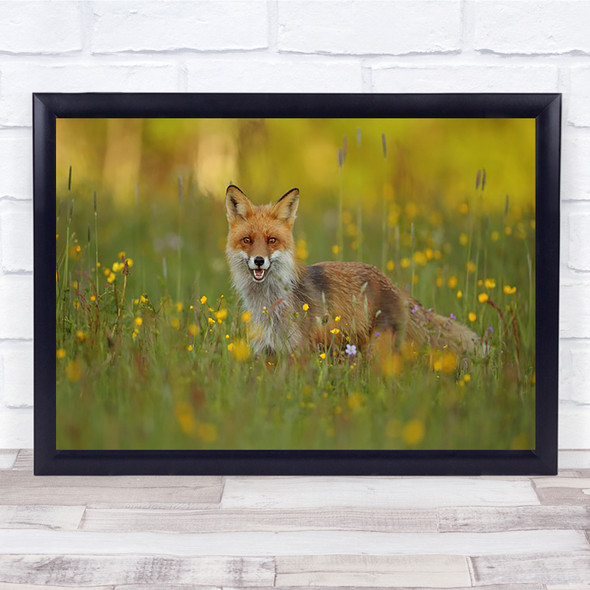 Red Fox Wildlife Wild Nature Animal Meadow Flowers Cute Animals Wall Art Print