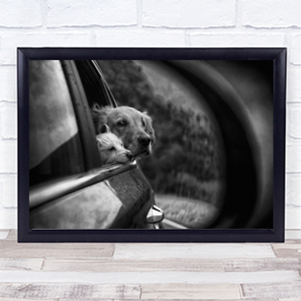 Road trip Dog Dogs Animal Animals Peek Peeking Curious Car Wall Art Print