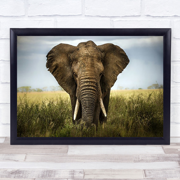 Serengeti Nature Animal Elephant Wildlife Tusks Africa Savannah Wall Art Print