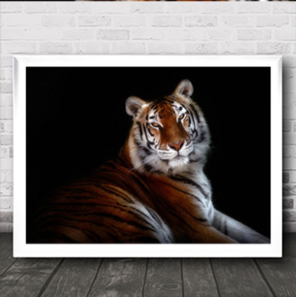 Serenity Tiger Tigers Feline Dark Fur Furry Wall Art Print