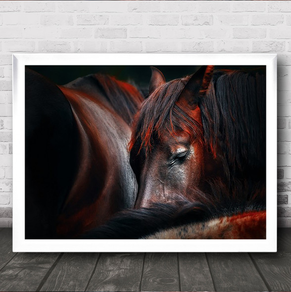 Sleep Huddle Horses Sleeping Horse Mane Eye Wall Art Print