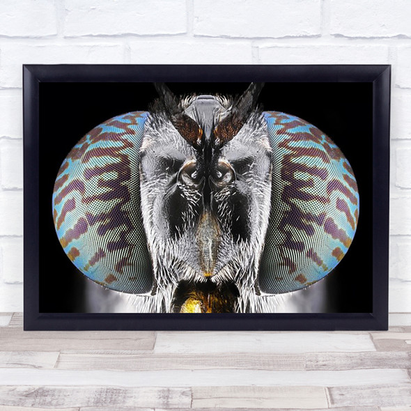 Soldier Fly Closeup Insects Bugs Focus Eyes Alien Wall Art Print