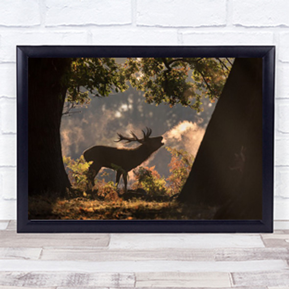Stag Deer Antler Antlers Breath Air Cold Morning Autumn Wall Art Print