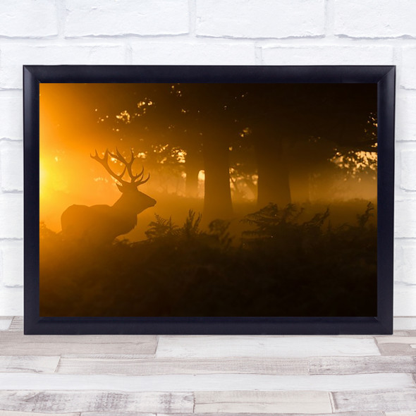Stag In The Mist Red Deer Park Richmond Sunrise London Wall Art Print