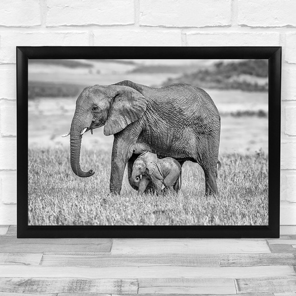 Staying Close Protected Wildlife Nature Animal Elephant Cub Wall Art Print