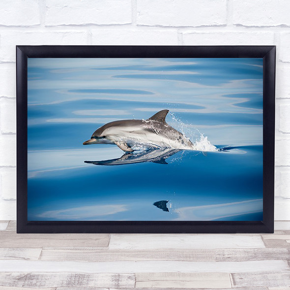 Striped Dolphin Sea Nature Wildlife Cetacean Jump Leap Surface Art Print