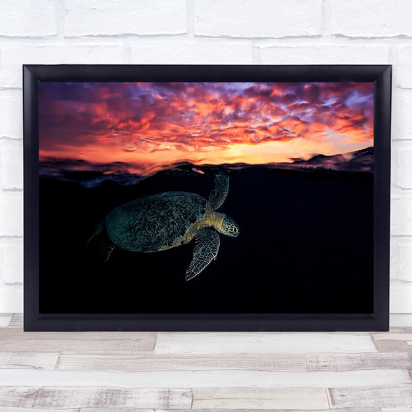 Sunset Turtle Underwater Fire Sky Surface Sea Wildlife Wild Wall Art Print