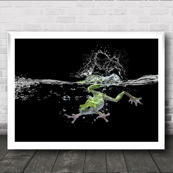 Swimming Frog Water Splash Green Frogs Animals Bubbles Spray Wall Art Print