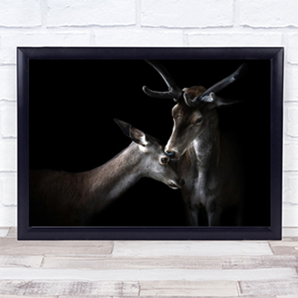 Tenderness Tender Love Kiss Deer Antler Antlers Animal Animals Wall Art Print