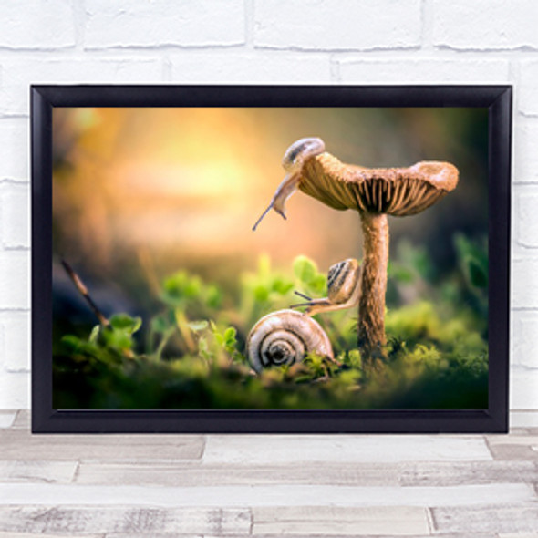 The Awakening Of Snails Snail Mushroom Sunrise Shell Shells Bokeh Wall Art Print