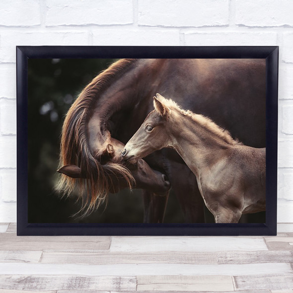 The Bond Horses Mare Foal Brown Horse Animal Animals Cute Wall Art Print