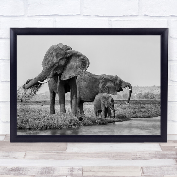 The Family Of Elephants Africa Elephant Animal Animals Cub Mother Wall Art Print
