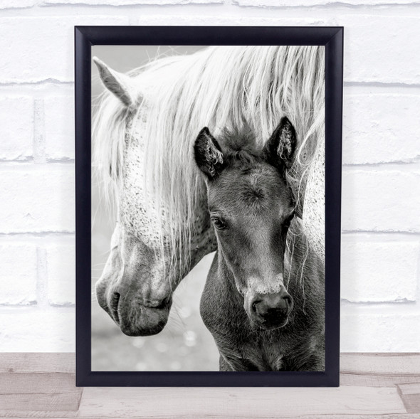 The Foal Pony Horse Mother Love Animal Parenthood Young Cute Wall Art Print