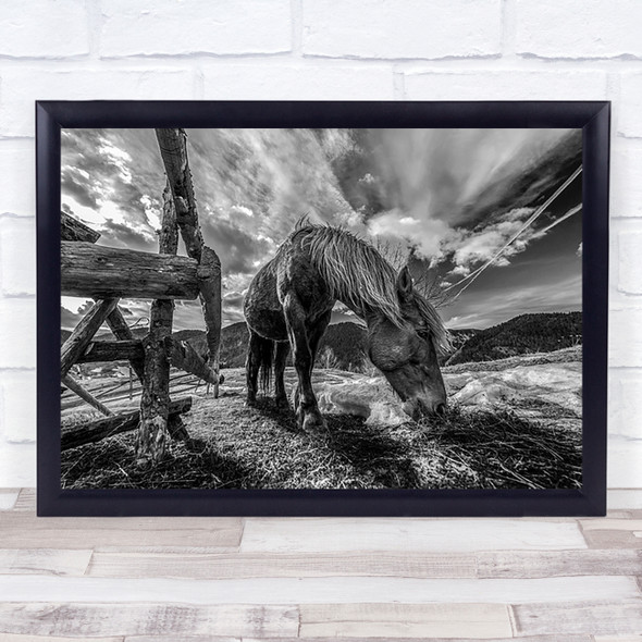 The Horse Animal Animals Farm Farming Eat Eating Wall Art Print