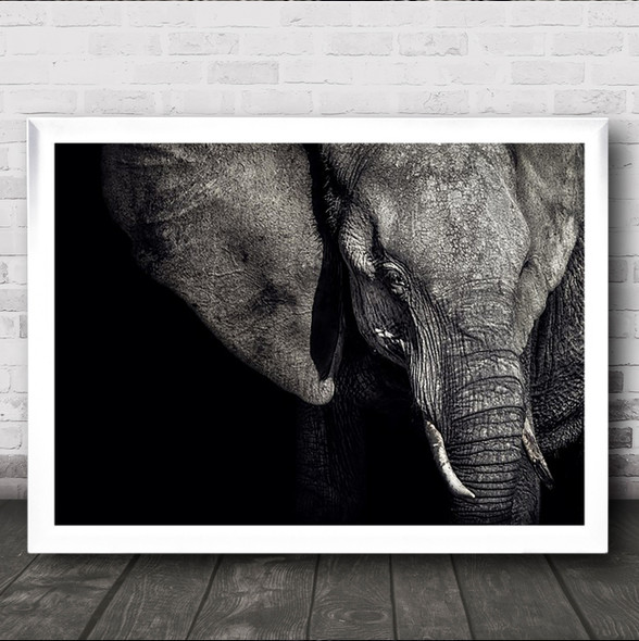 The Matriarch Nature Animal Wildlife Elephant Africa Botswana Moremi Art Print