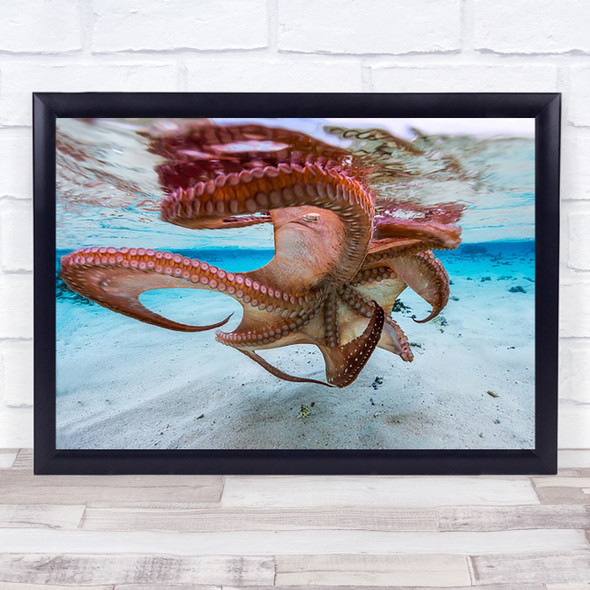 The Octopus Underside Red Poulpe Seascape Ocean Sea Reef Wall Art Print