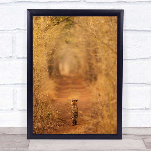 The Tiger In Tunnel Wildlife India Endangered Baby Road Path Way Wall Art Print