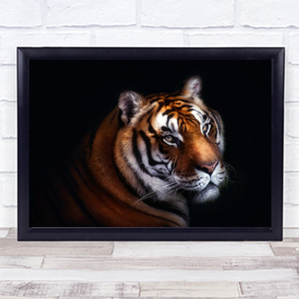 Tiger Animal Animals Dark Feline Tigers Wall Art Print