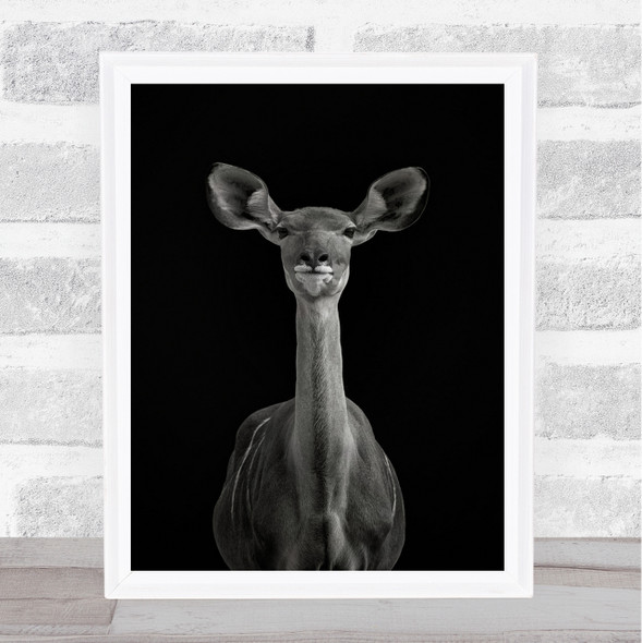 To Be Standing Attention Animal Animals Deer Ears Dark Wall Art Print