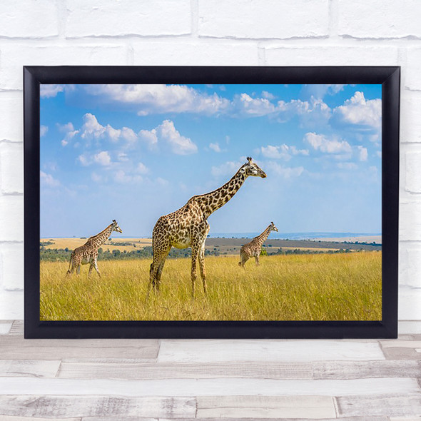 Trio Giraffes Composition Nature Safari Kenya Clouds Wildlife Wall Art Print