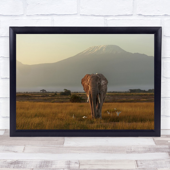 Under The Roof Of Africa Elephant Birds Mountain Wildlife Wild Wall Art Print