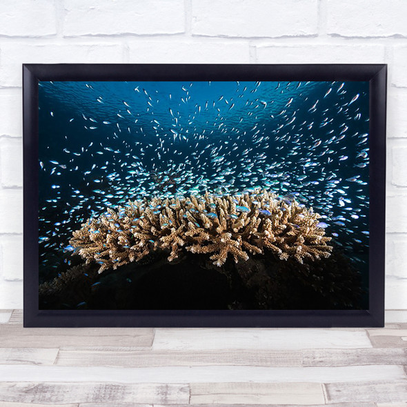 Underwater Life Fish Coral Reef Ocean Sea Lagoon Night Reefs Wall Art Print