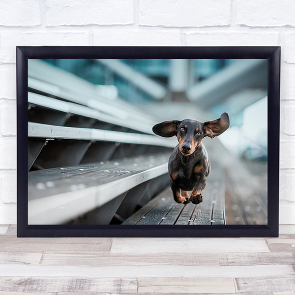 Urban City Architecture Dogs Harbour Hamburg Animals Dog Pet Wall Art Print