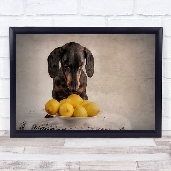 When Life Gives You Lemons Dogs Lemons Yellow Dachshund Animals Dog Art Print