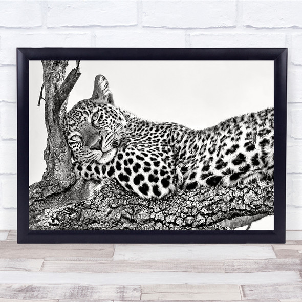 Wildlife Kenya Africa Safari Feline Leopard Wild Nature Animal Art Print