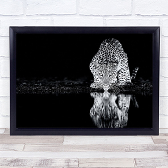 Wildlife Wild Nature Animal Animals Reflection Tongue Drink Drinking Art Print