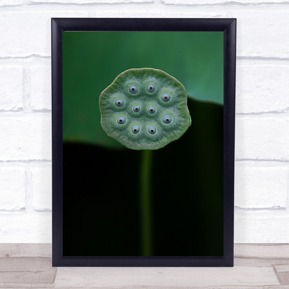 A Lotus Green Bokeh Flower Flowers L Botanical Wall Art Print