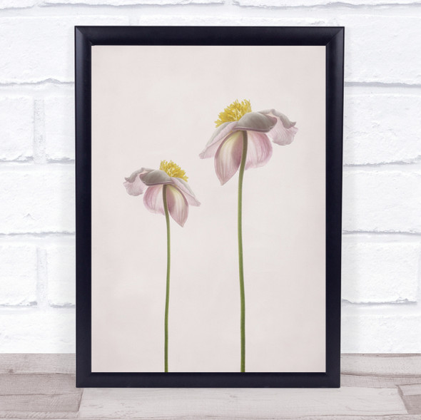 A Summer Memory Anemone Flower Flowers Pink Wall Art Print