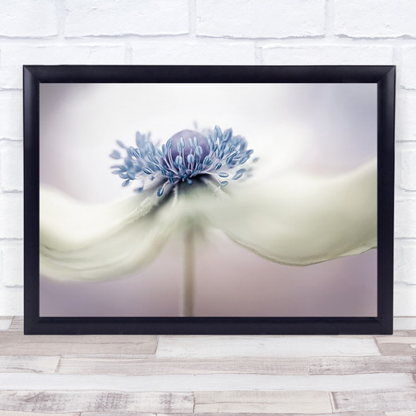 Anemone Cambs uk Purple Japanese Flower Soft Bokeh Wall Art Print