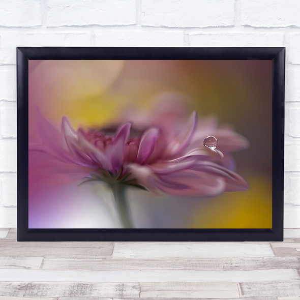 Beyond Words Flower Droplet Wall Art Print