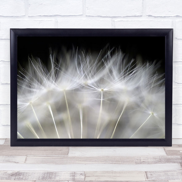 Blow It Downy Tuft Tufts Dandelion Feather Soft Gentle Wall Art Print