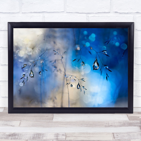 Blue Rain Grass Dew Drop Drops Water Wall Art Print