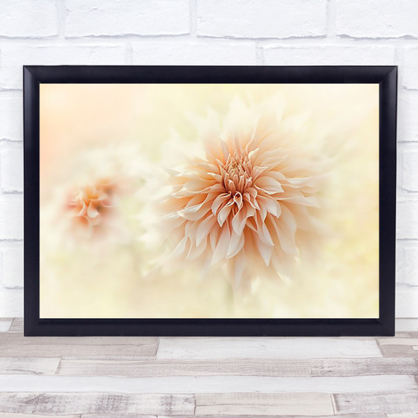 Cafe 'Au Lait' Dahlia Flower Bloom Close-Up Peach Cream Freshness Wall Art Print