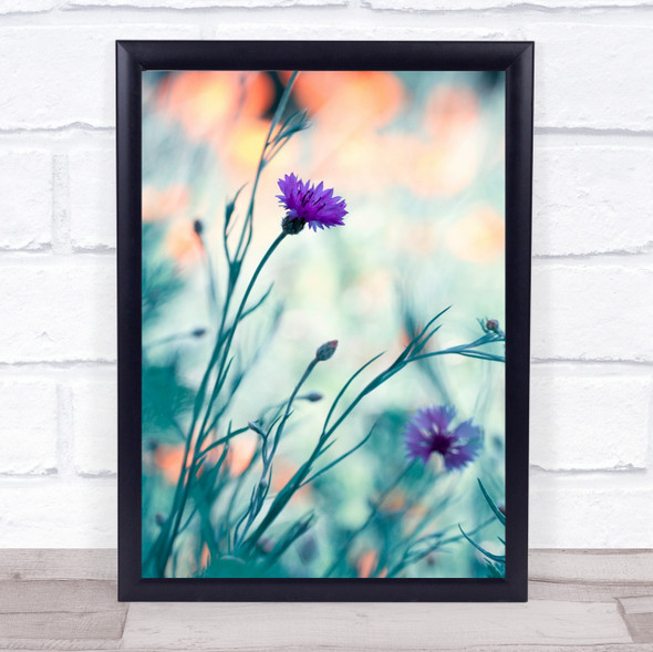 Colours Bokeh Flower Flowers Purple Meadow Soft Wall Art Print