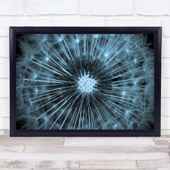 Dandelion Flower Abstract Toned Blainville Blue toned Wall Art Print