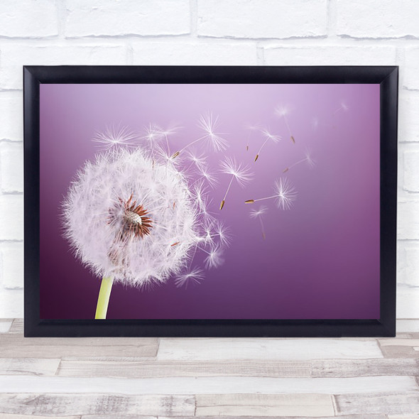 Dandelion Flying Abstract Black Beauty Biology Blossom Blow Blowing Art Print