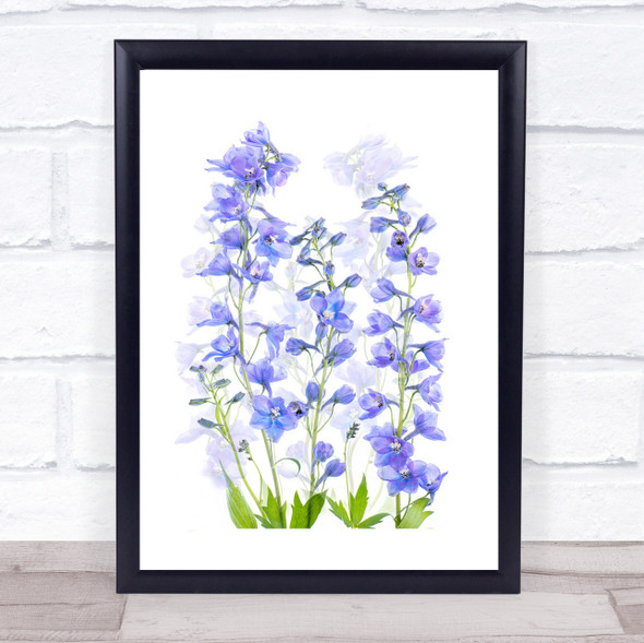 Delphinium Flowers Flower Blue Spring Garden Fresh Vitality Purity Art Print