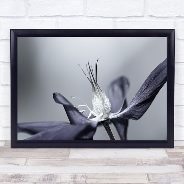 Fiore Estate Summer Flower Desaturation Desaturated Wall Art Print