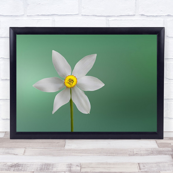 Flower Of Paradise Modern Flowers Botanical L No Wall Art Print