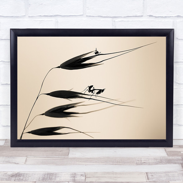 Gone With The Wind Plant Insect Close Up Mantis Wall Art Print